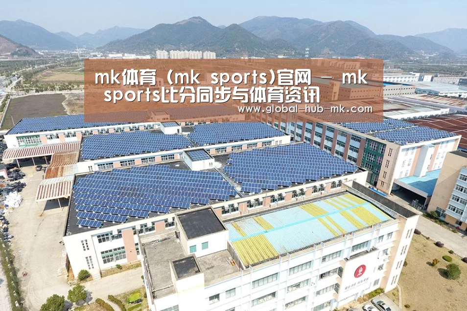 案例展示二