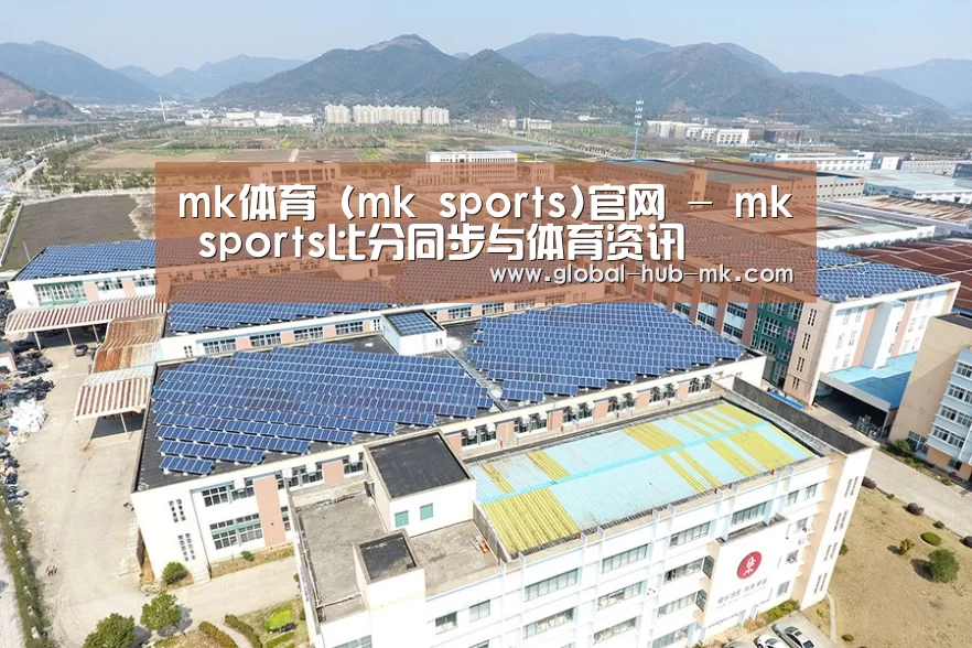 案例展示四