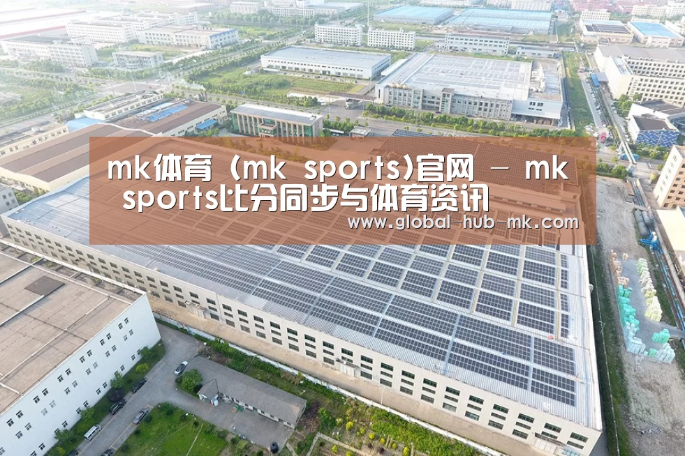 案例展示三
