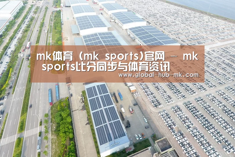 案例展示四