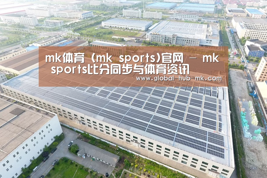 案例展示四