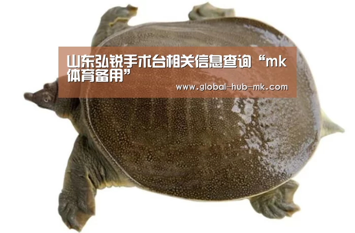 山东弘锐手术台相关信息查询“mk体育备用”(图3) mk体育app