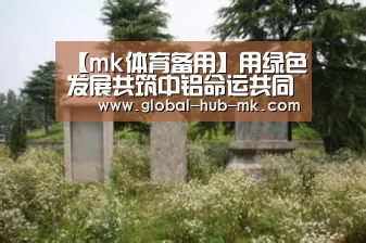 mk体育备用