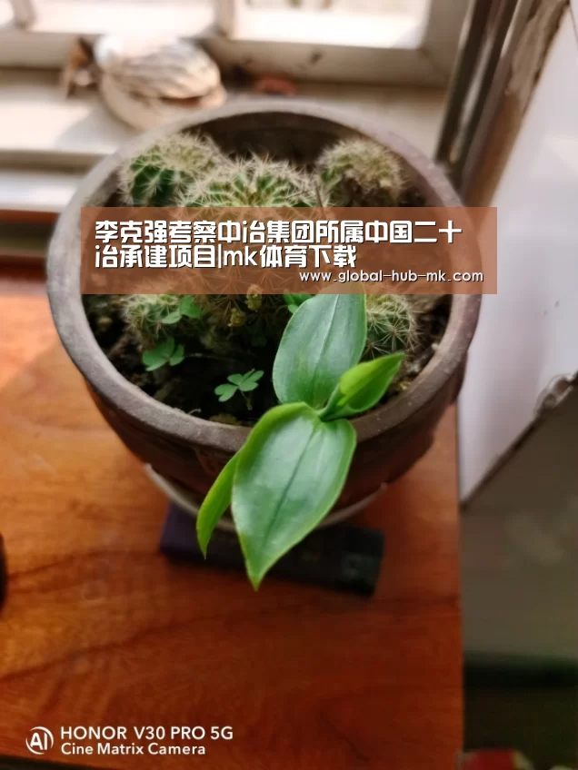 mk体育在线