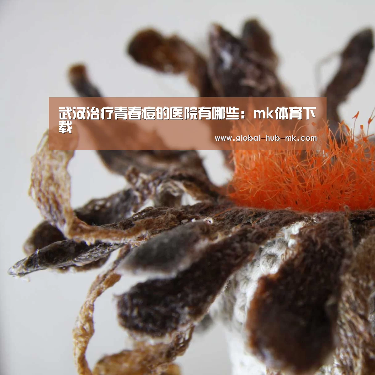 武汉治疗青春痘的医院有哪些:mk体育下载(图3) mk体育app