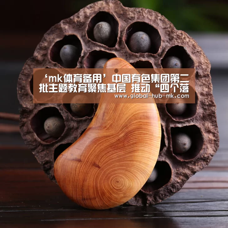 ‘mk体育备用’中国有色集团第二批主题教育聚焦基层 推动“四个落地见效”(图1) mk体育app