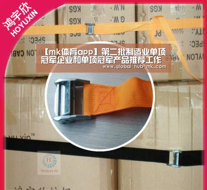 【mk体育app】第二批制造业单项冠军企业和单项冠军产品推荐工作启动(图3) mk体育app