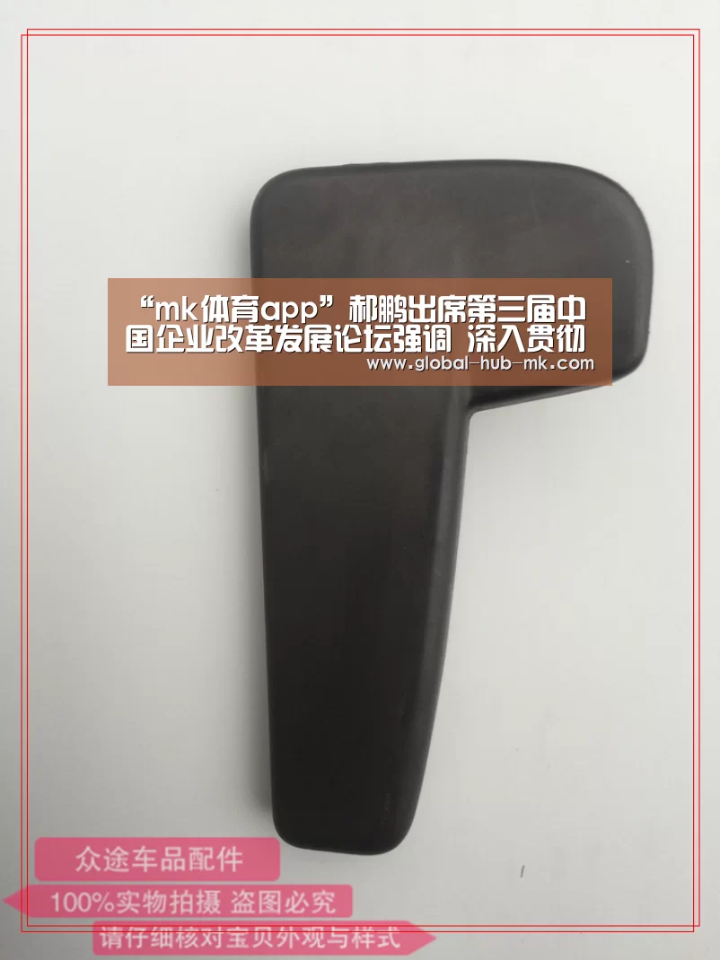 “mk体育app”郝鹏出席第三届中国企业改革发展论坛强调 深入贯彻落实党的十九届四中全会精神 为推动经济高质量发展贡献力量(图2) mk体育备用