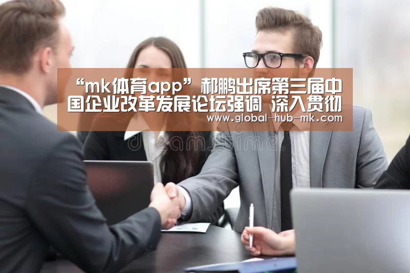 “mk体育app”郝鹏出席第三届中国企业改革发展论坛强调 深入贯彻落实党的十九届四中全会精神 为推动经济高质量发展贡献力量(图3) mk体育app