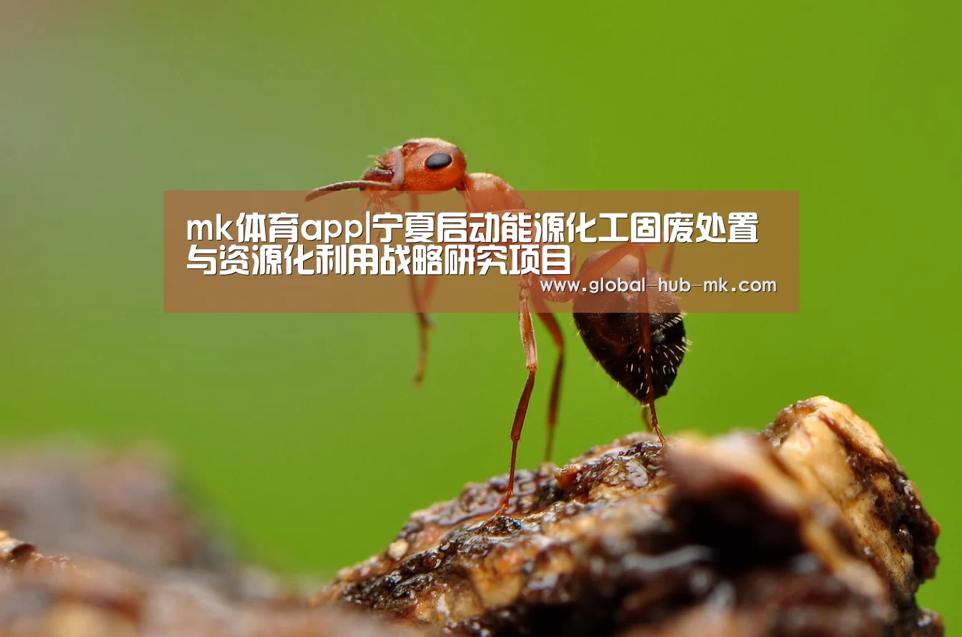 mk体育app|宁夏启动能源化工固废处置与资源化利用战略研究项目(图1) mk体育备用
