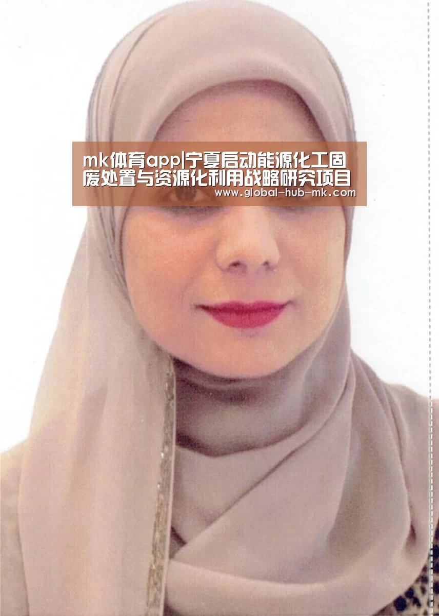 mk体育app|宁夏启动能源化工固废处置与资源化利用战略研究项目(图2) mk体育app