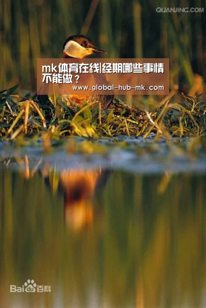 mk体育备用